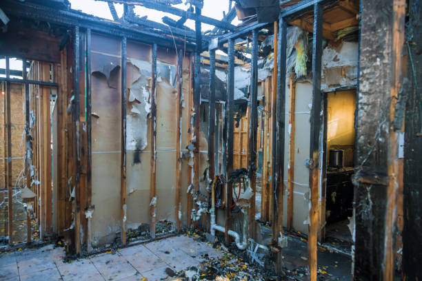 Professional Smoke Damage Removal technician working in Allendale, MI